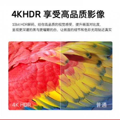 创维4K HDR AI人工智能 超高清智能网络WIFI液晶平板电视（SKYWORTH）