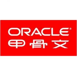 甲骨文（Oracle） 数据库标准版 Oracle Database Standard Edition2 1Processor