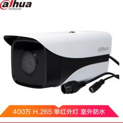 大华（Dahua）摄像头400万高清H.265星光级监控红外摄像机DH-IPC-HFW2433DM-I1 镜头3.6MM