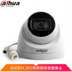 大华（Dahua）400万监控H265星光级夜视网络摄像头录音频DH-IPC-HDW4443DT-A 镜头6MM