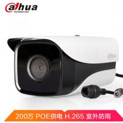 大华（Dahua）摄像头200万/1080P网络高清监控摄像头带POE红外50米 DH-IPC-HFW1230M-I1-V2 焦距3.6MM
