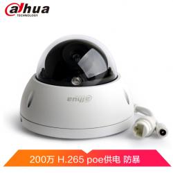 大华（Dahua）200万H.265监控摄像机 网络半球防暴高清摄像头POE供电 DH-IPC-HDBW1230R 镜头6MM