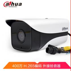 大华（Dahua）400万H.265音频拾音网络摄像机 外接拾音器摄像头 高清红外夜视DH-IPC-HFW4443M-AS-I1