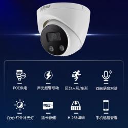 大华（Dahua）400万声光警戒红外海螺网络摄像机 半球监控摄像头DH-IPC-HDW4443DH-SA-PV