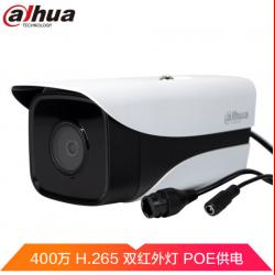 大华（Dahua）监控摄像头400万网络高清 双红外灯 H.265编码 支持POE供电 DH-IPC-HFW2433M-I2 镜头8MM