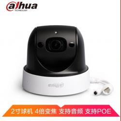 大华（Dahua）监控摄像头 200万2寸网络智能红外球机摄像头 POE网线供电 支持音频录音 DH-SD-29D204UE-GN-PD