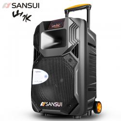 山水（SANSUI） SS1 户外音响移动拉杆蓝牙音箱便携式低音炮大功率会议室电脑音箱 SS1-10英寸+2话筒