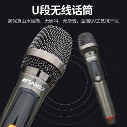 山水（SANSUI） SA3广场舞音响音箱户外移动便携式拉杆蓝牙播放器 SA3-10寸（双话筒）