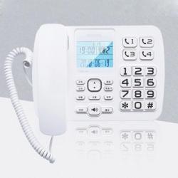 飞利浦（PHILIPS）CORD168 办公家用固定电话 白色