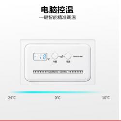 美的(Midea)99升 电脑智能控温 迷你小冷柜 一级能效 单温小冰箱 BD/BC-99KEM(E)