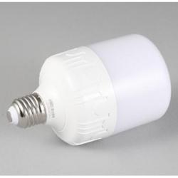 雷士（NVC）雷士照明节能灯 led大功率灯泡 省电灯饰 灯具 20W 6500K白光 E27球泡 一只装