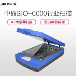 MICROTEK 中晶BIO-6000平板式凝胶成像扫描仪A3大幅面行业扫描（生物医学实验）