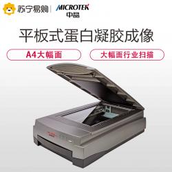 MICROTEK 中晶BIO-5000平板式蛋白凝胶成像扫描仪行业扫描（生物医学实验）