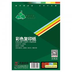 新绿天章彩色复印纸80克/A4/25包/100页(大红)