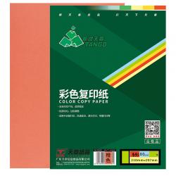 天章(TANGO)新绿天章A4/100页多功能橙色复印纸彩纸/80g打印纸彩色手工折纸卡纸 100页/包