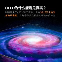 创维（SKYWORTH）65R9U 65英寸 4K超高清 OLED护眼 像素控光 MEMC防抖 4+128G内存 智慧语音电视