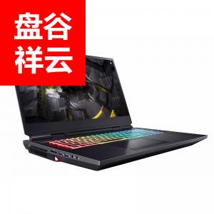 神舟CNB5SX9移动工作站17.3寸/i9-11900K/RTX3080 16G GDDR6独显/32G内存/1TBSSD+2TB机械/无线网卡